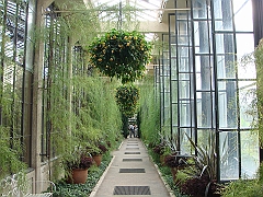 296 Longwood Gardens [2008 August 23]